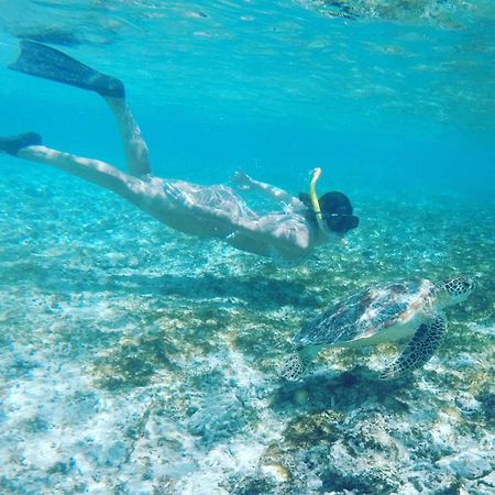 Tropical House Bungalows Τζίλι Τραγουανγκάν Εξωτερικό φωτογραφία